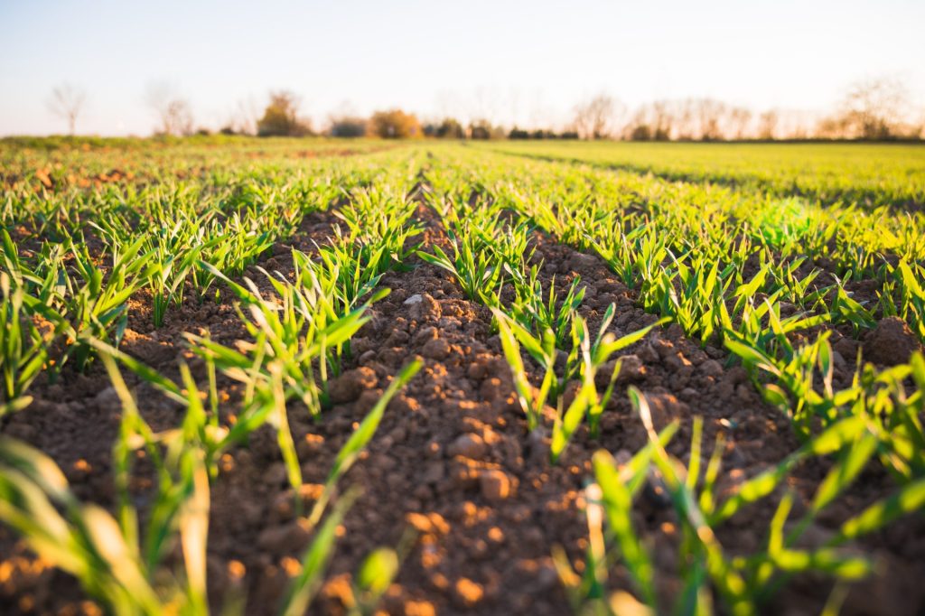 projet bas carbone agricole