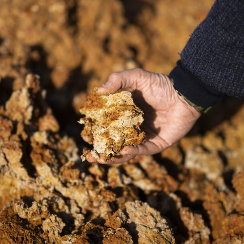 Neocem_Details_EB_039