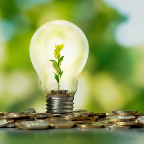 Close up photo of lightbulb with growing plant inside and coin stacks as a symbol of money saving. Concept of money, investment and  startup business idea.