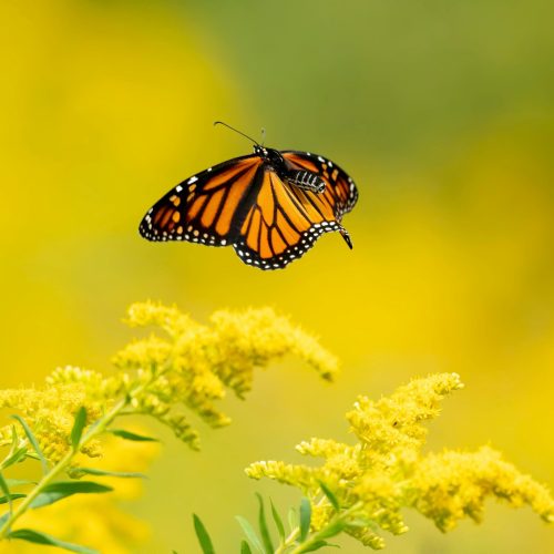 pexels-nord6-6833869